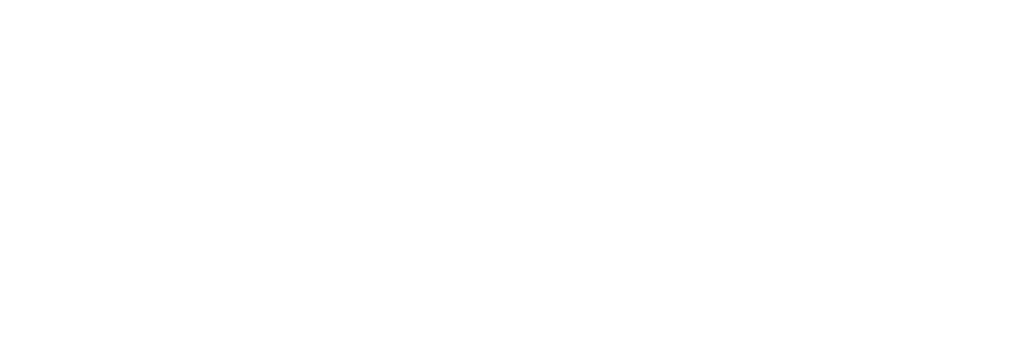 Logo Dr. Horse & Friends UG weiß